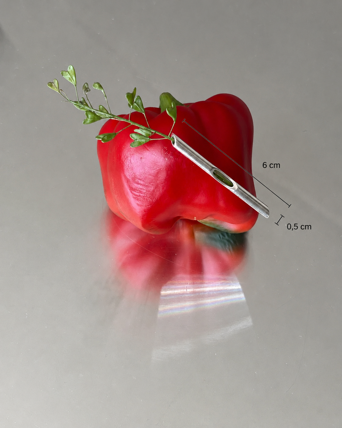 A kind Brooch